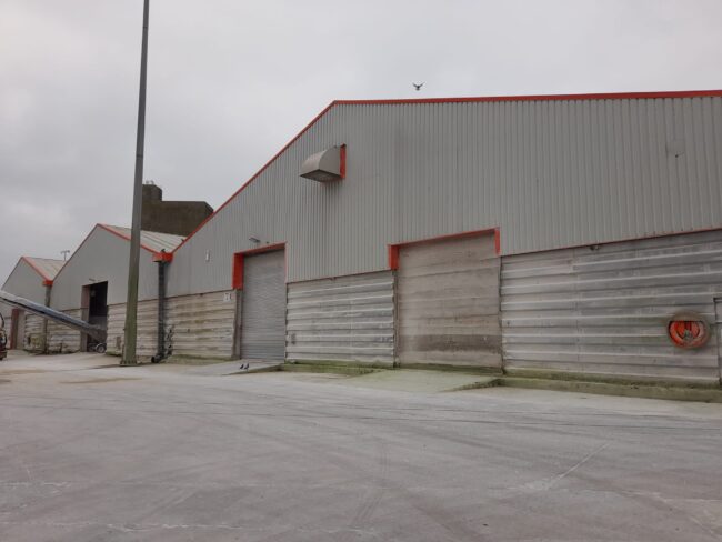 Sharpness Dock, 9000m Oversheet