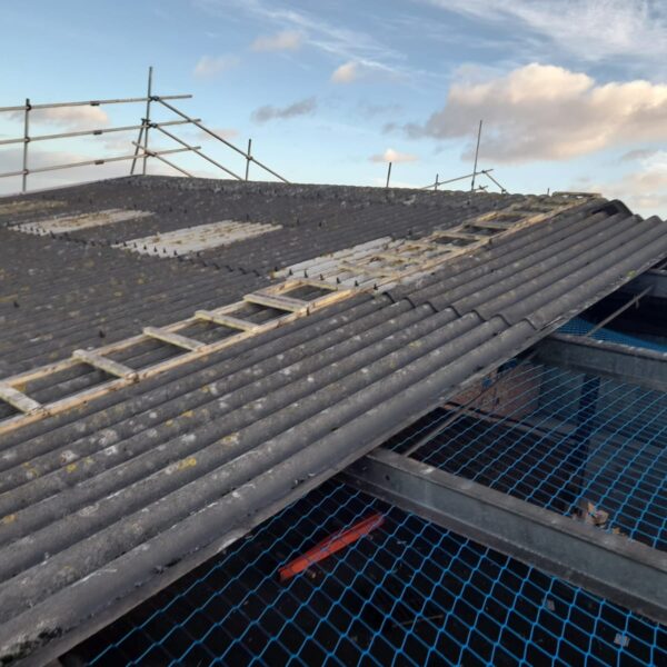 Non licensed asbestos removal