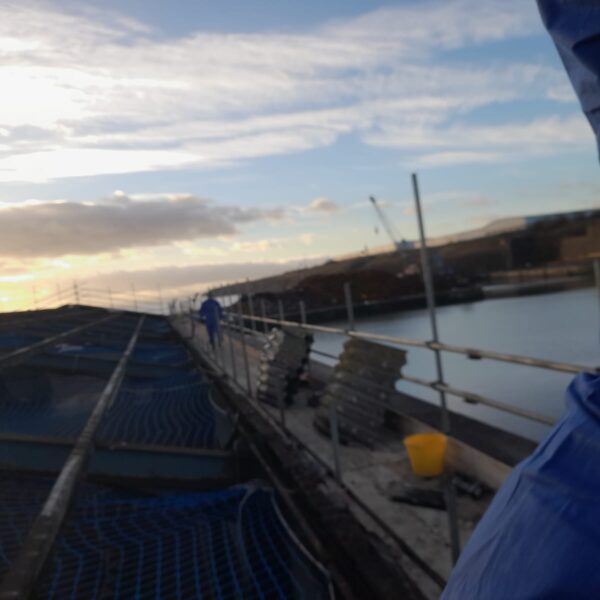 Non licensed asbestos removal