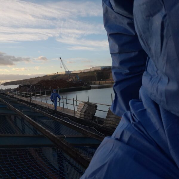 Non licensed asbestos removal